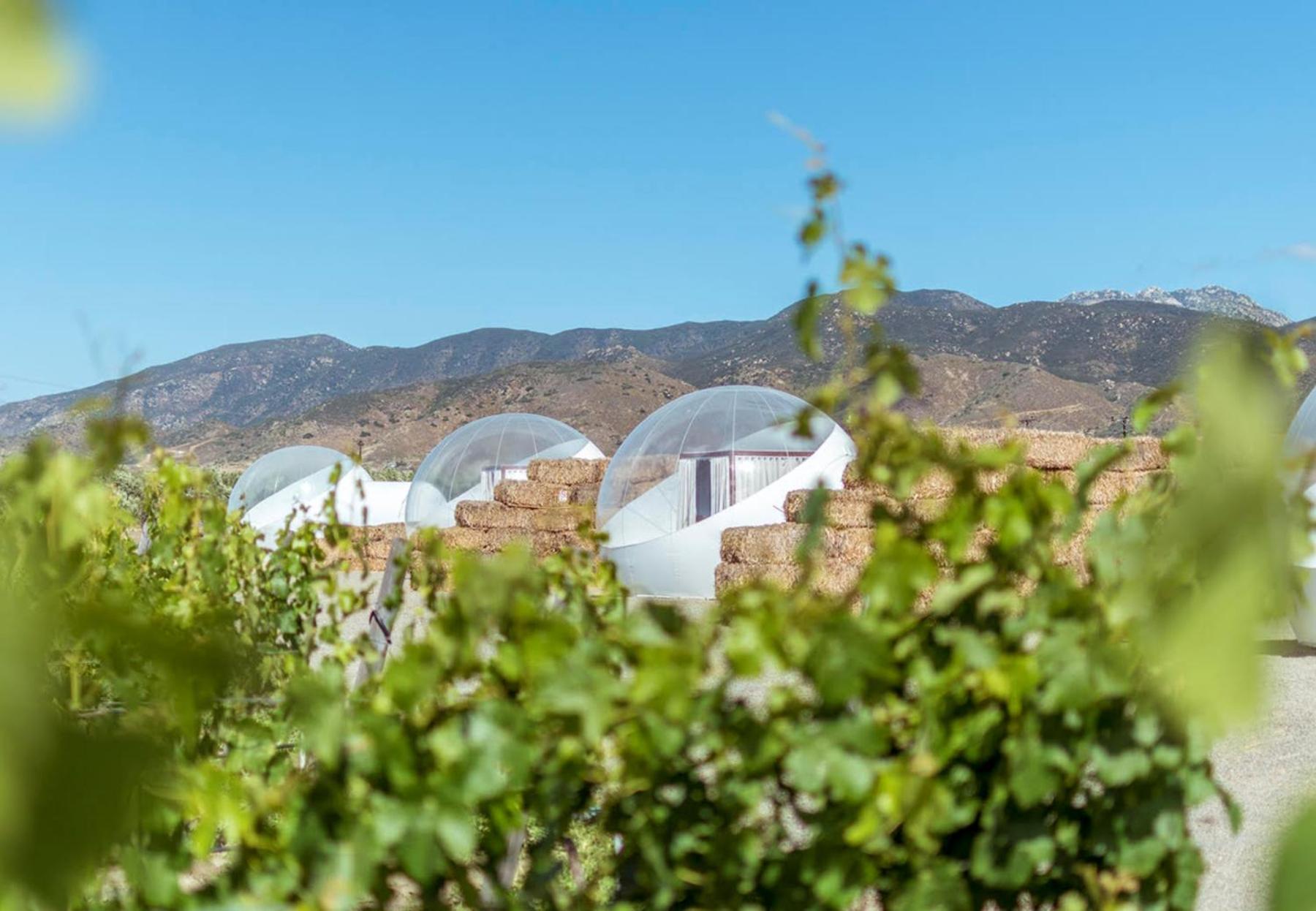 Отель Campera Valle De Guadalupe Энсенада Экстерьер фото