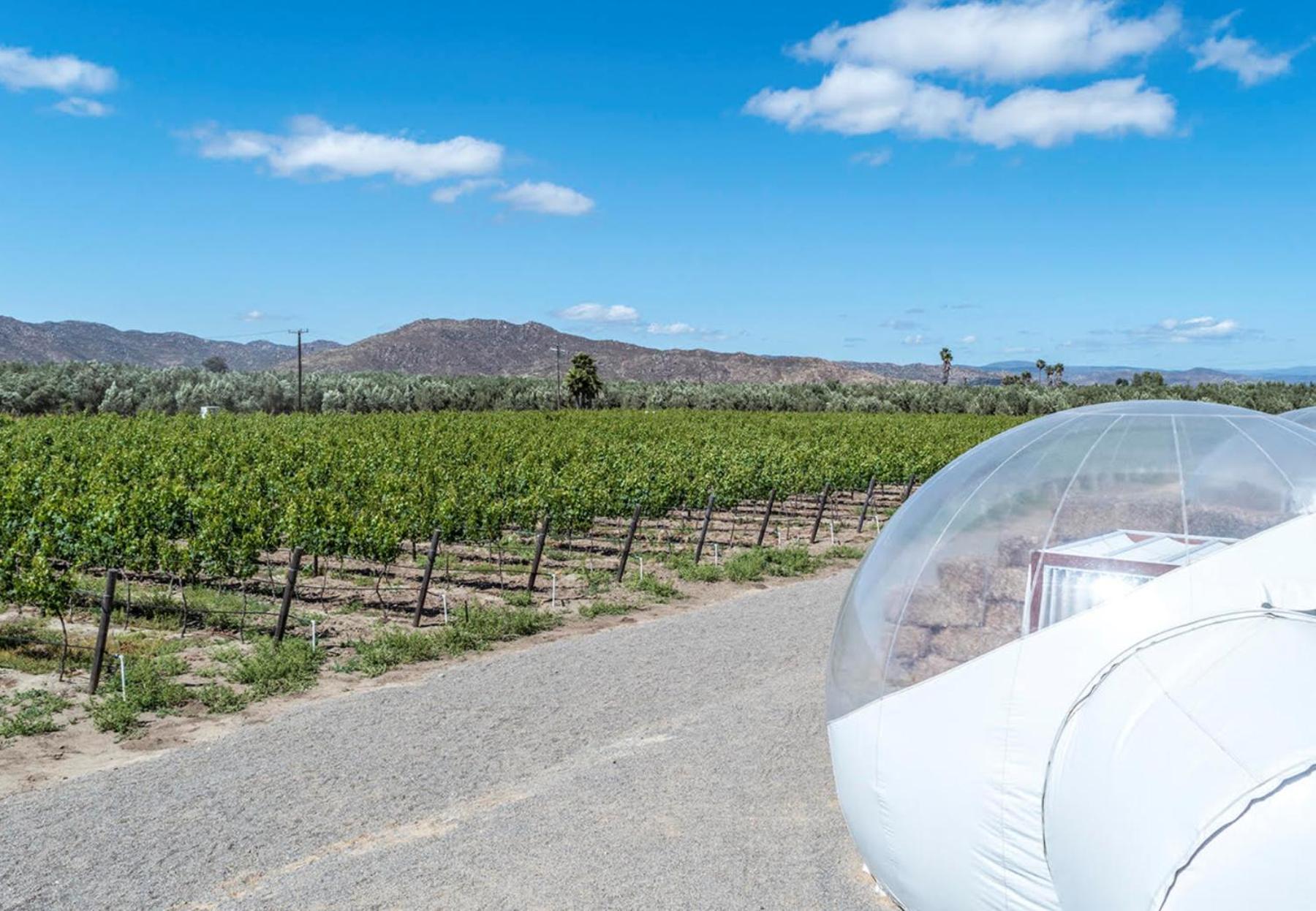 Отель Campera Valle De Guadalupe Энсенада Экстерьер фото