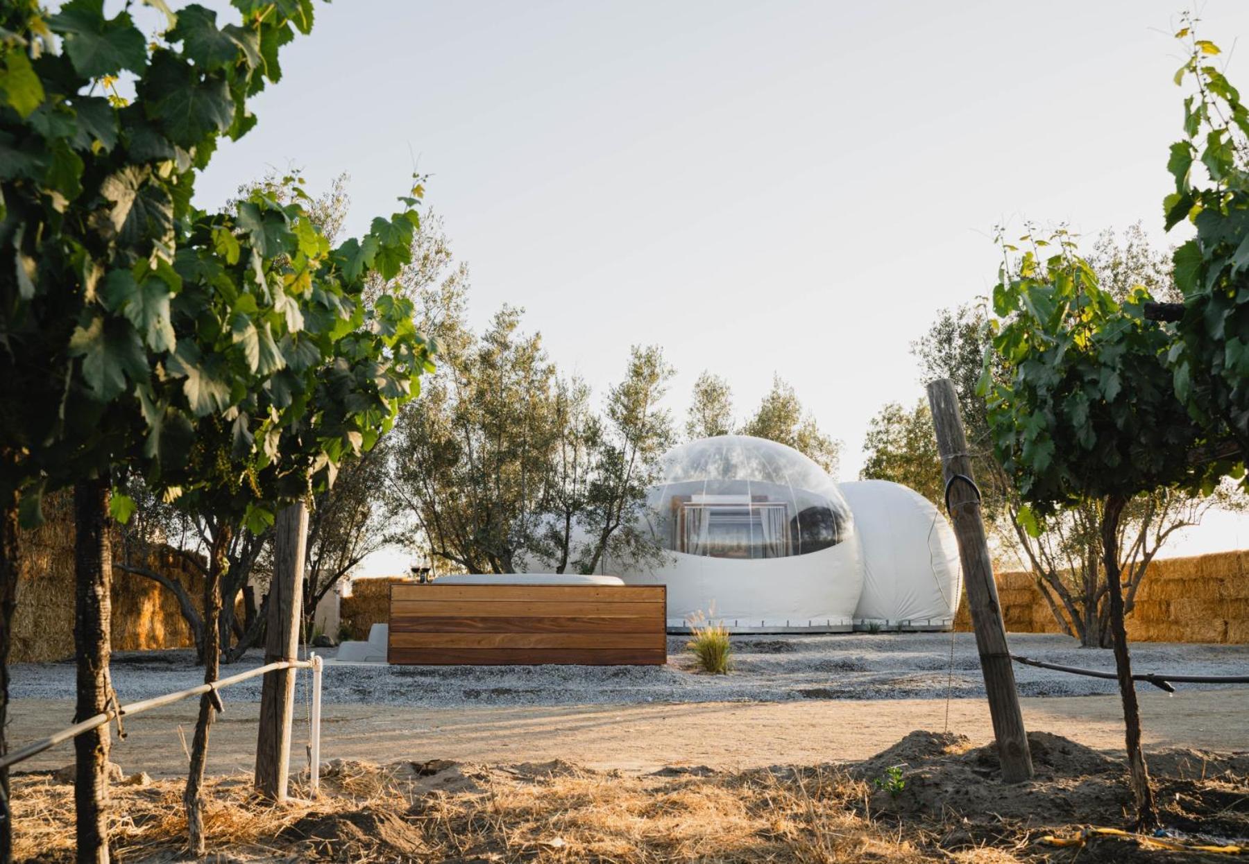 Отель Campera Valle De Guadalupe Энсенада Экстерьер фото