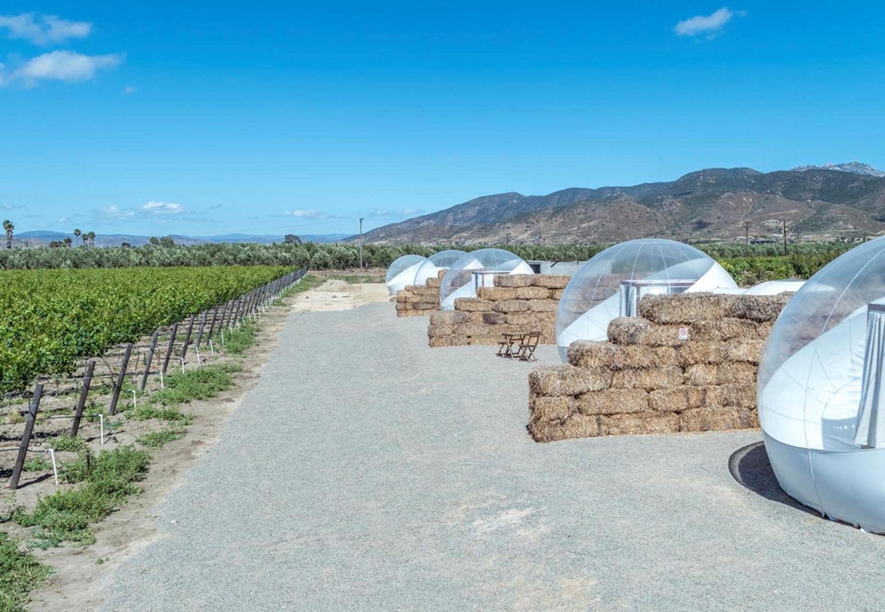 Отель Campera Valle De Guadalupe Энсенада Экстерьер фото