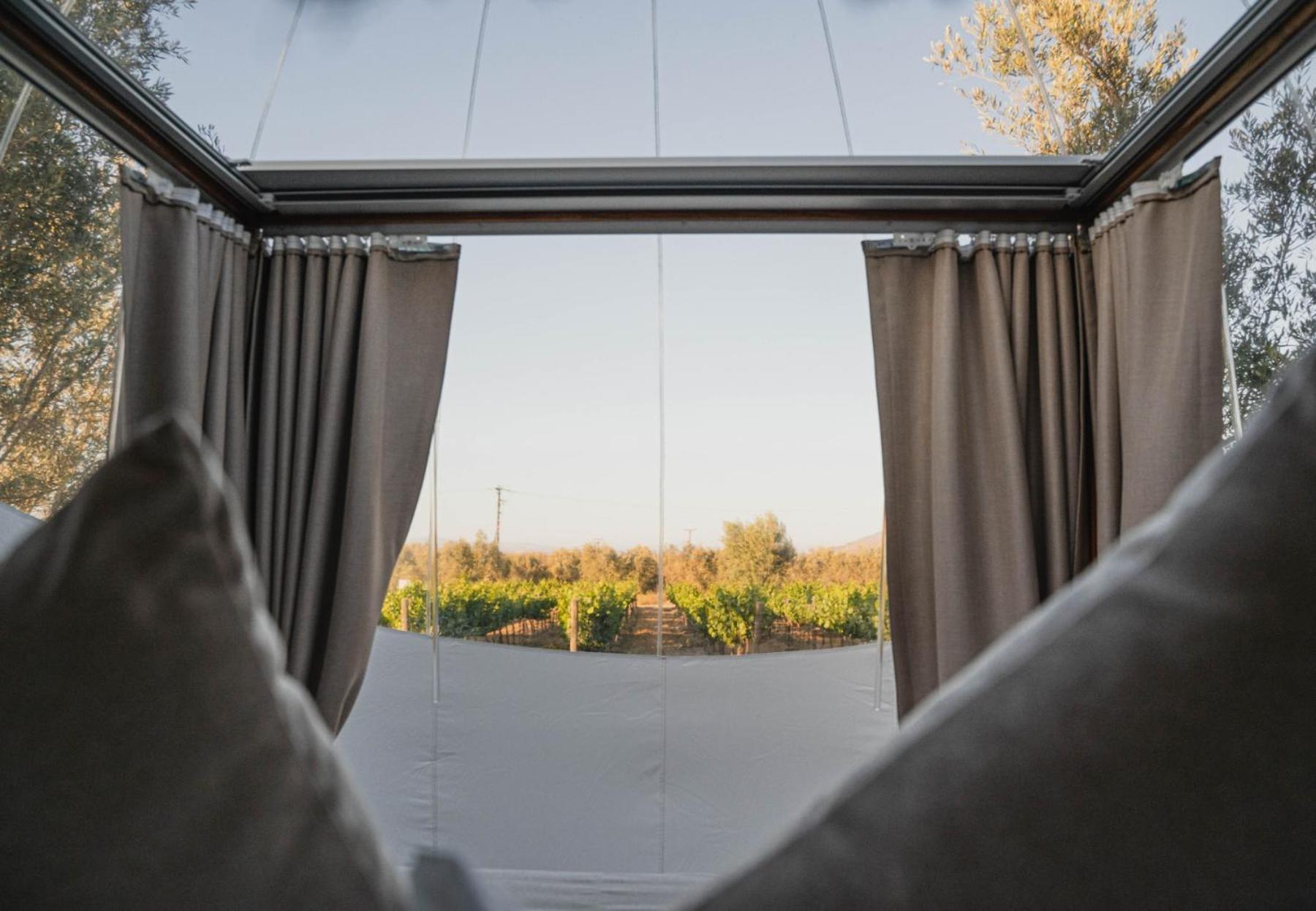 Campera Valle De Guadalupe Энсенада Экстерьер фото