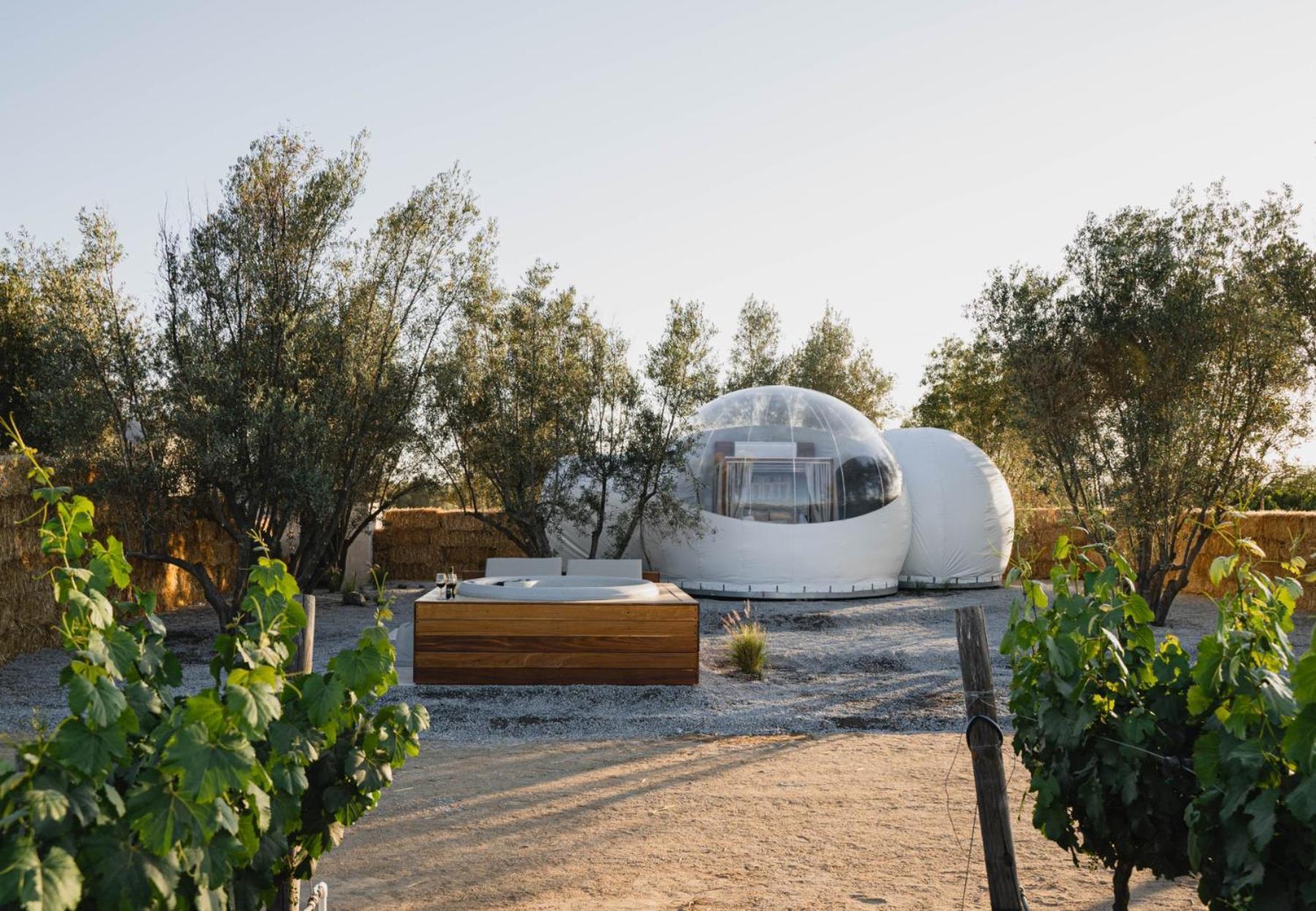 Отель Campera Valle De Guadalupe Энсенада Экстерьер фото